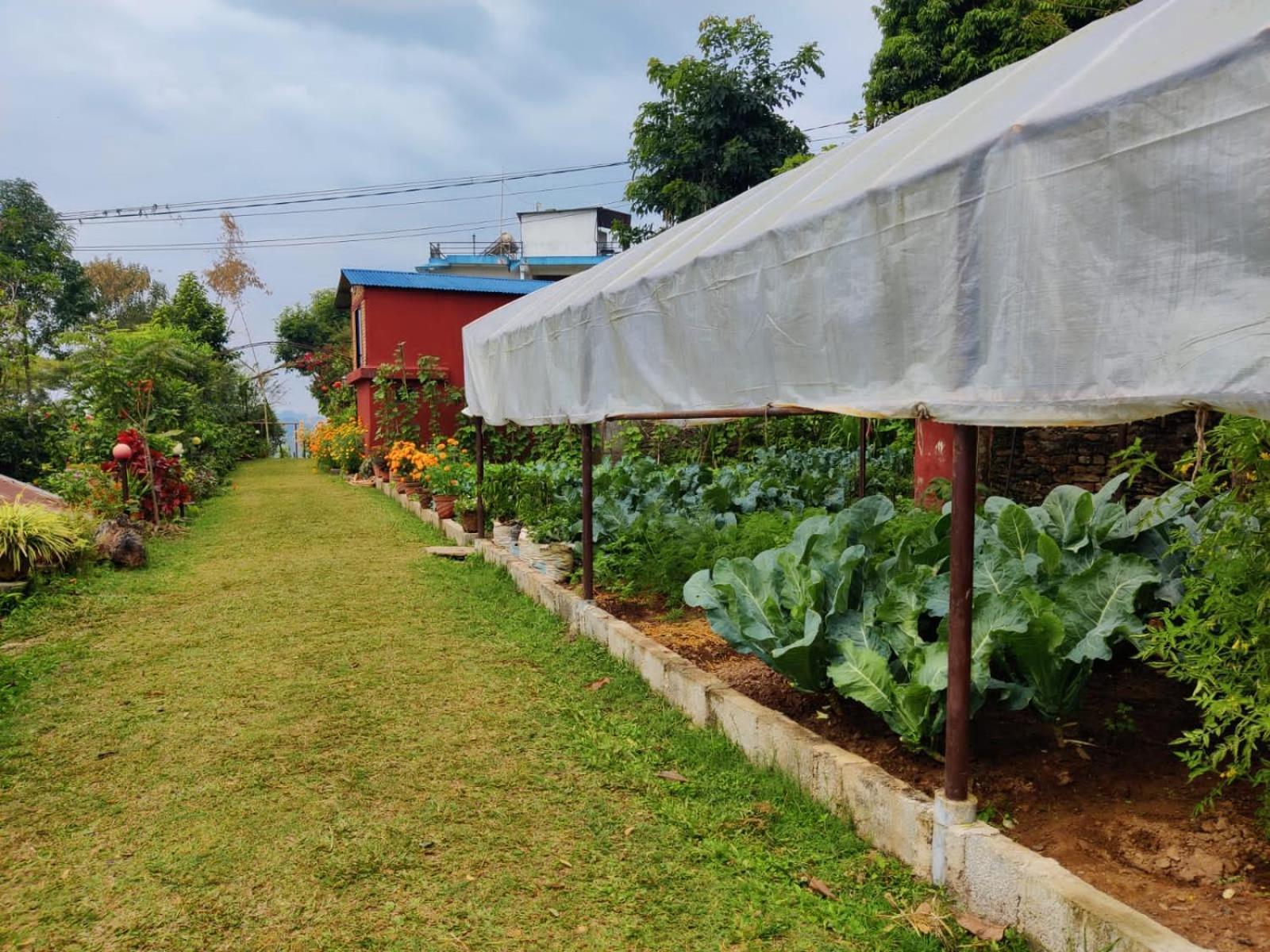 Himalaya Serene View Guest House & Farm Stay Deorāli 外观 照片