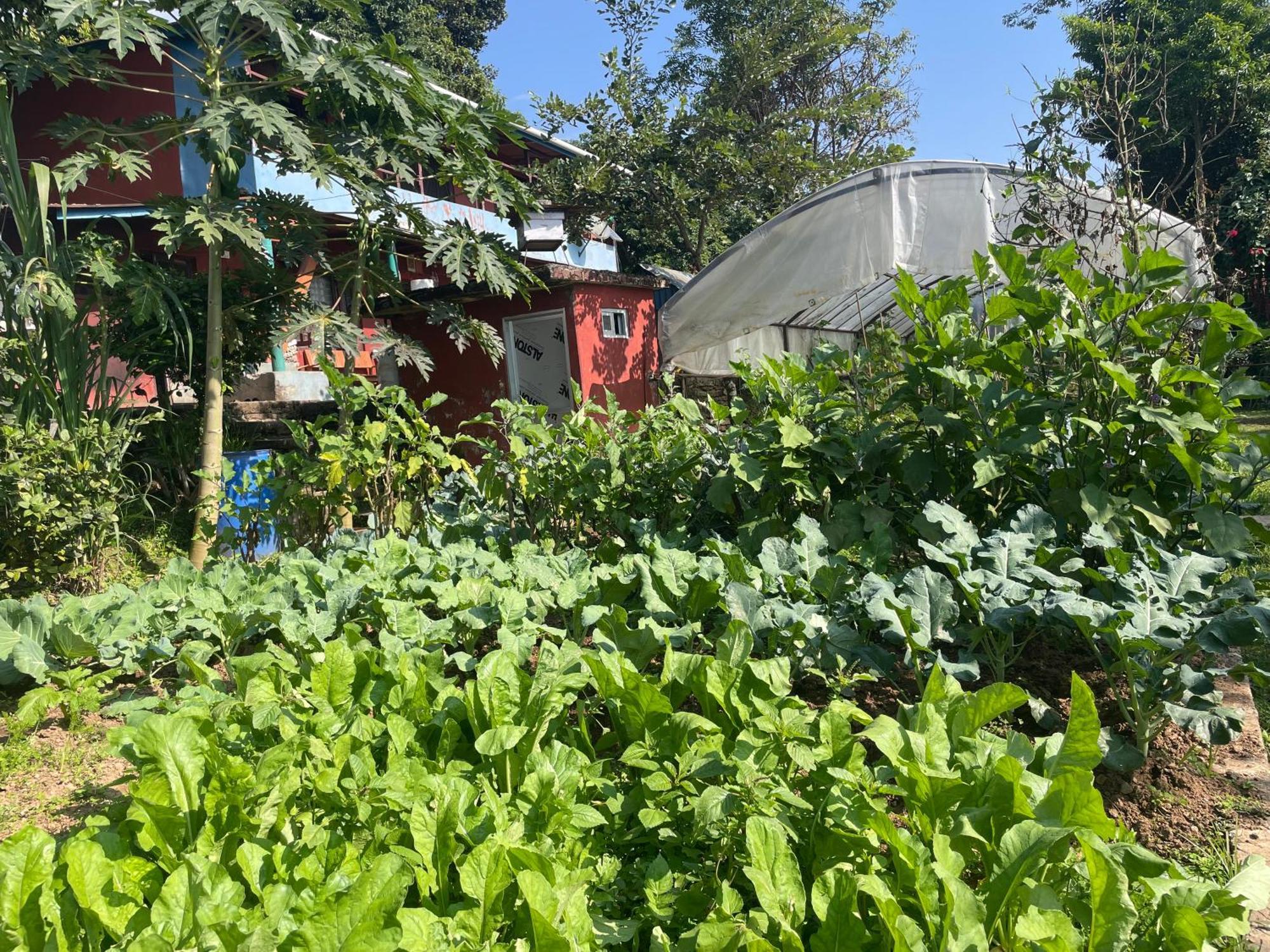 Himalaya Serene View Guest House & Farm Stay Deorāli 外观 照片