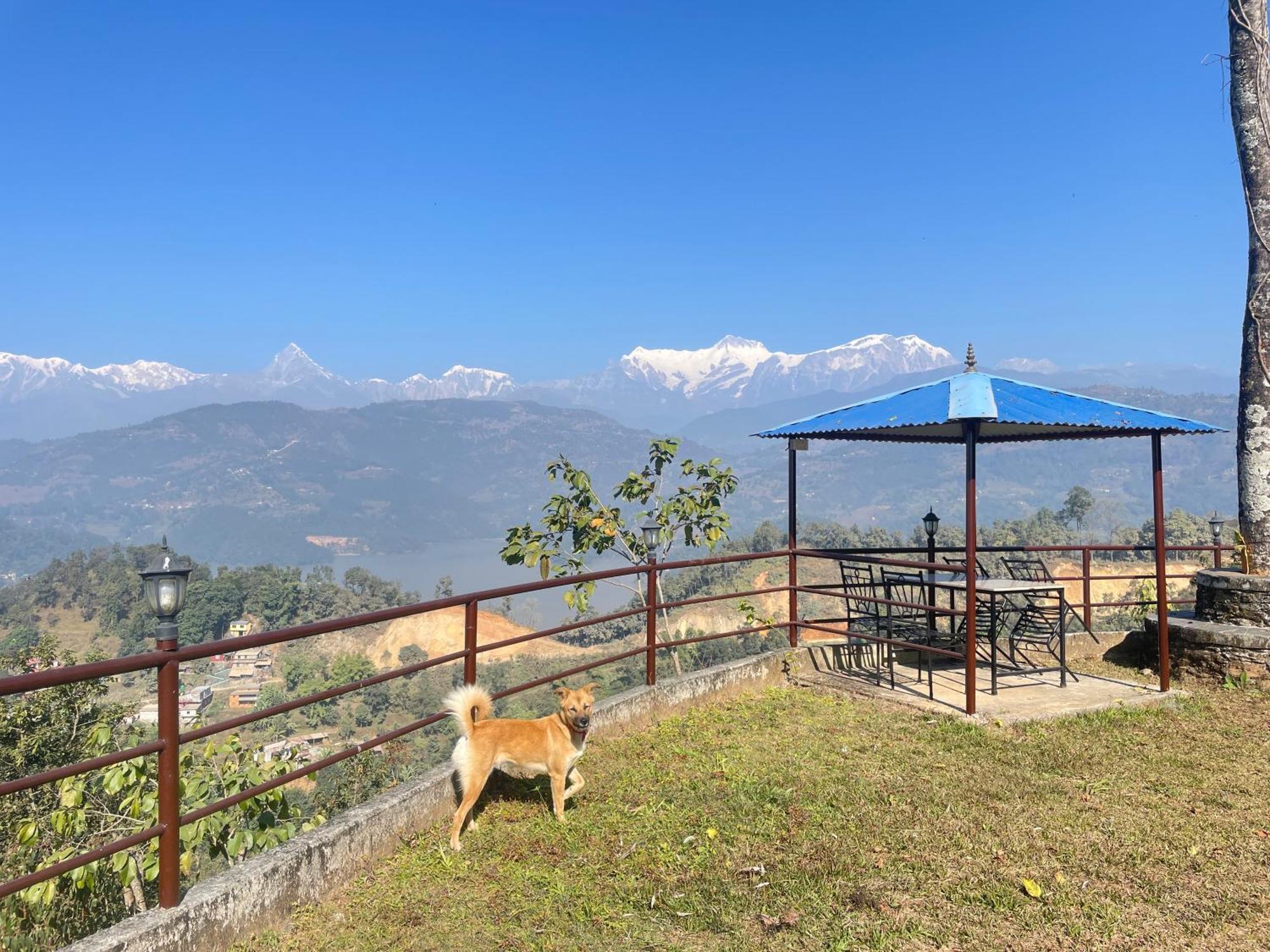 Himalaya Serene View Guest House & Farm Stay Deorāli 外观 照片